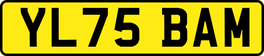 YL75BAM