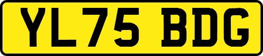 YL75BDG