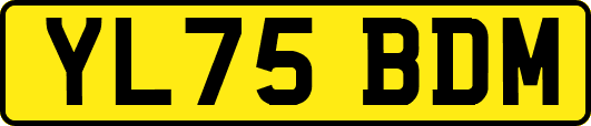 YL75BDM