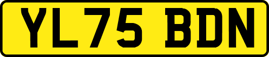 YL75BDN