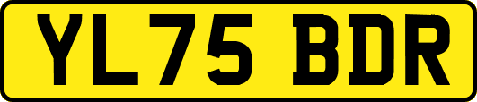 YL75BDR
