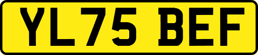 YL75BEF