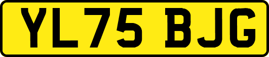 YL75BJG