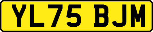 YL75BJM