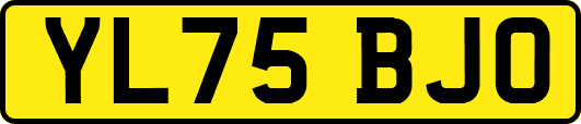 YL75BJO