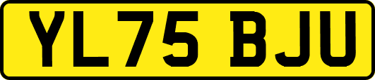 YL75BJU