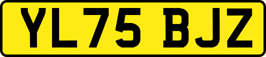 YL75BJZ