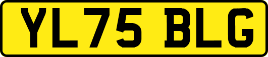 YL75BLG