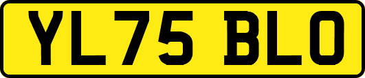 YL75BLO