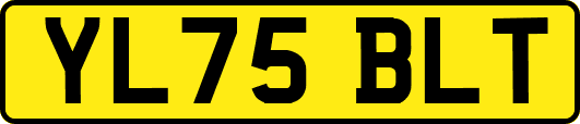 YL75BLT