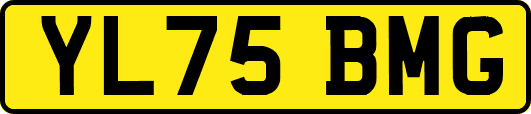 YL75BMG