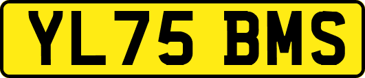 YL75BMS
