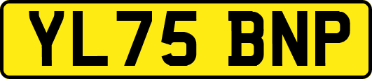 YL75BNP