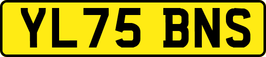 YL75BNS