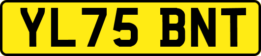 YL75BNT
