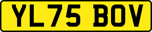 YL75BOV