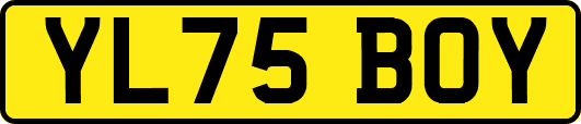 YL75BOY
