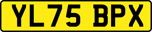 YL75BPX