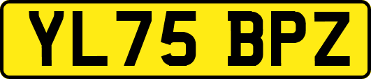 YL75BPZ