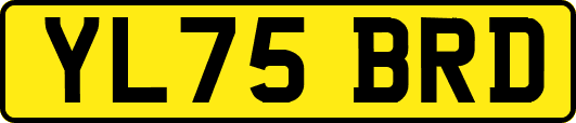 YL75BRD