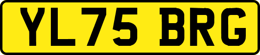 YL75BRG
