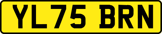 YL75BRN