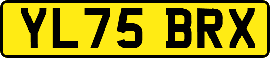 YL75BRX
