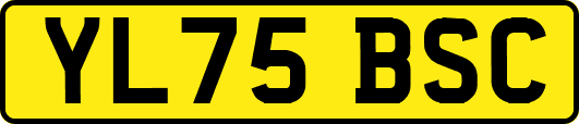 YL75BSC