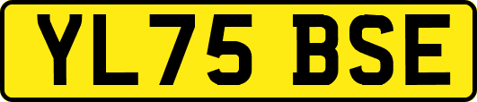 YL75BSE