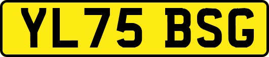 YL75BSG
