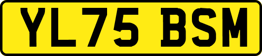 YL75BSM