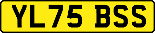 YL75BSS