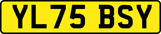YL75BSY