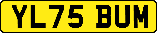 YL75BUM