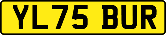 YL75BUR