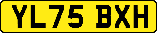 YL75BXH