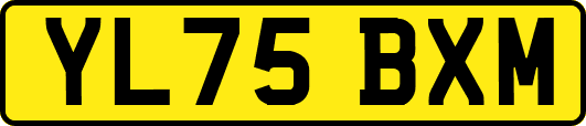 YL75BXM