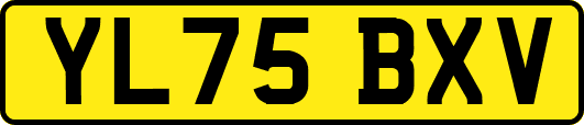 YL75BXV