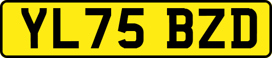 YL75BZD
