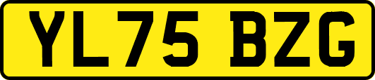 YL75BZG