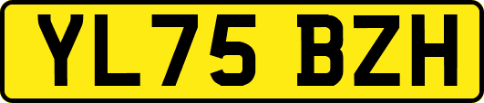 YL75BZH