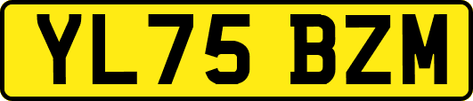 YL75BZM