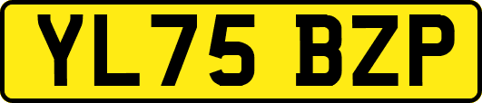 YL75BZP