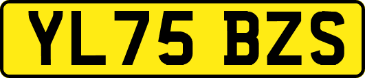 YL75BZS