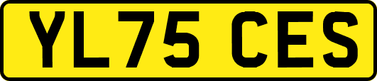YL75CES