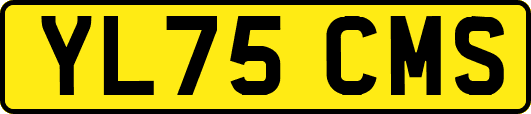 YL75CMS