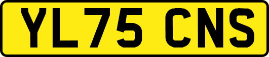 YL75CNS