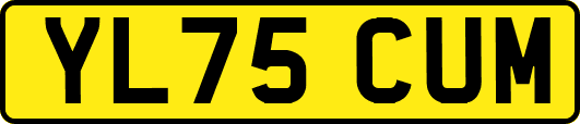 YL75CUM