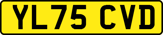 YL75CVD