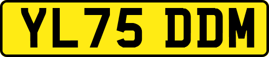 YL75DDM